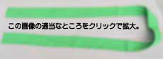 東今泉運動鉢巻